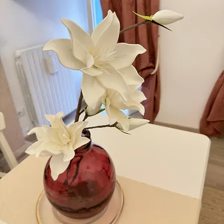 Apartamento Palazzo Monterone